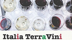 Scopri di più sull'articolo Italia Terravini