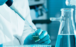 El Istat publica su informe sobre Investigación y desarrollo en Italia