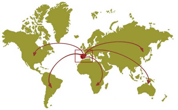 La solidità dell’internazionalizzazione dell’economia spagnola migliora del 3,7% secondo amec