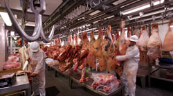 La industria cárnica representa más del 22% de todo el sector alimentario en España