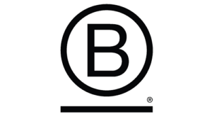 Lee más sobre el artículo Webinar sobre la certificación de sostenibilidad B Corp