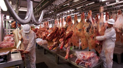 Las exportaciones agroalimentarias españolas crecieron un 80% en los últimos 10 años