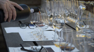 Scopri di più sull'articolo Concorso “Prepara tu Futuro – Joven catador en vinos italianos”