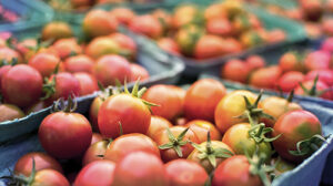 Scopri di più sull'articolo L’export agroalimentario spagnolo chiude il 2022 con un nuovo record