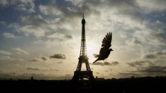 Messaggio di cordoglio del Presidente della CCIS alle vittime dell’attentato terroristico a Nizza