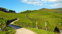 29 docentes españoles participan en el proyecto europeo PLVT