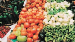 Scopri di più sull'articolo L’export spagnolo di fruttta e ortaggi freschi  raggiunge un massimo storico