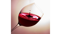 Lee más sobre el artículo El valor del vino español exportado supera los 3.000 millones de euros