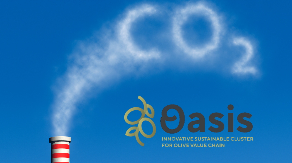 Sesión formativa proyecto OASIS: Mercados voluntarios de créditos de carbono