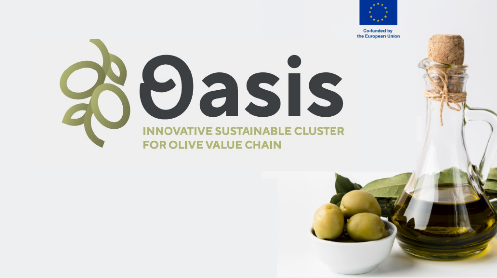 Sesión formativa proyecto OASIS - Optimización de los procesos de extracción del aceite de oliva virgen y nuevas tecnologías
